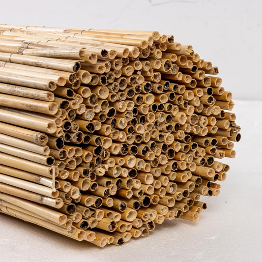 Arella in cannette di bambù naturale, listelli da 10 mm