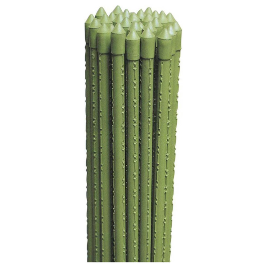 Cannette in metallo plasticato, kit da 25 pezzi