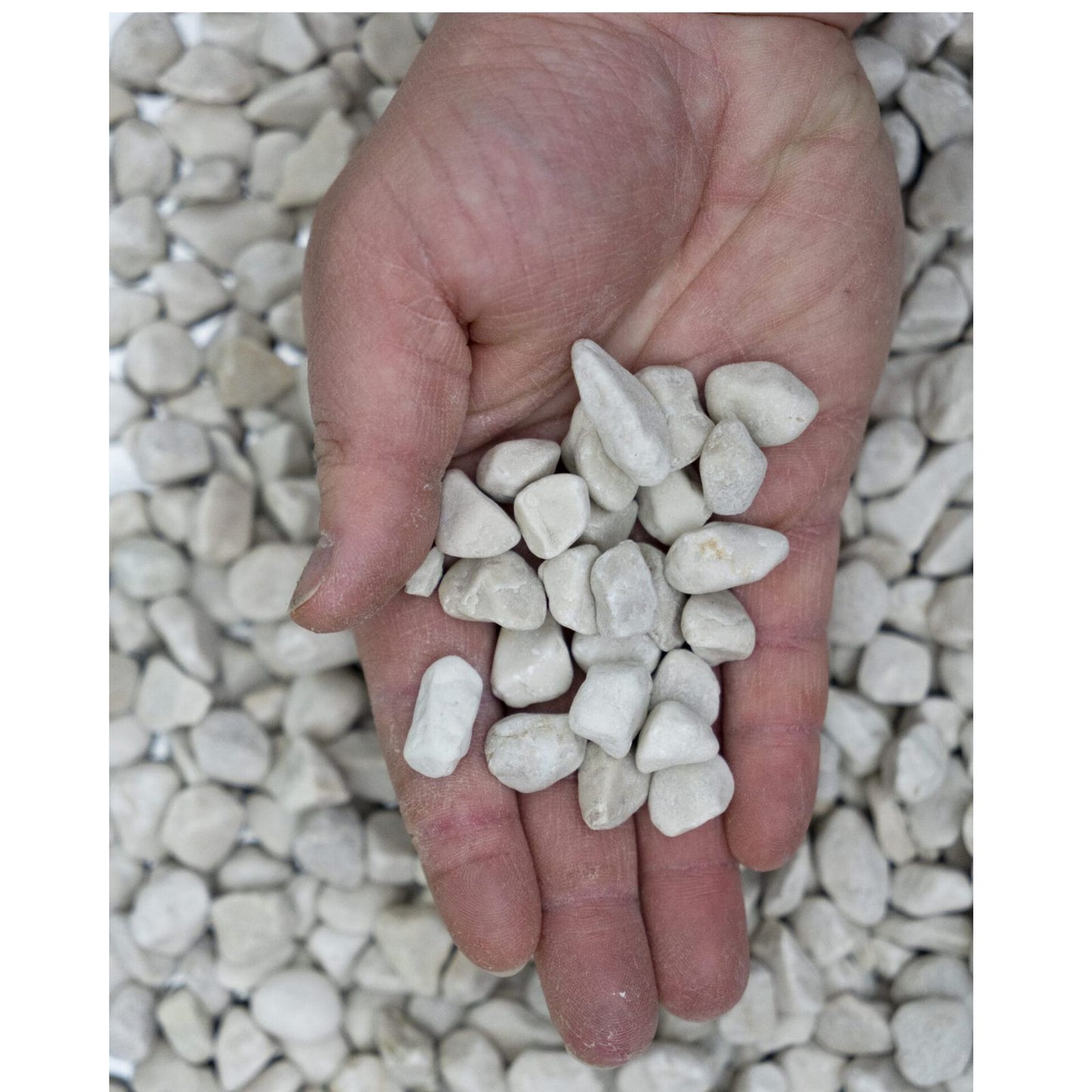 Ciottoli in marmo bianco 25kg per decorazione giardino o vasi