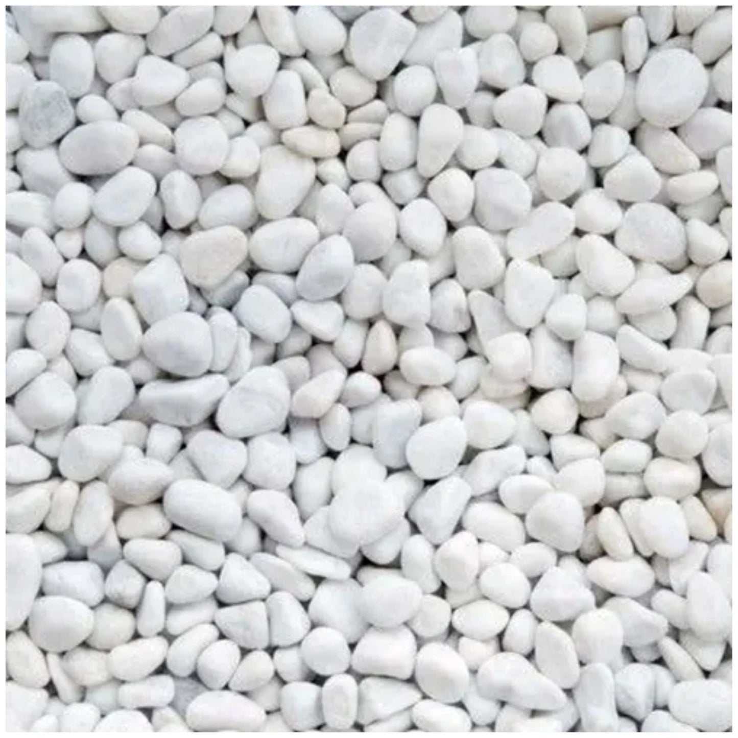 Ciottoli in marmo bianco 25kg per decorazione giardino o vasi