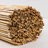 Arella in cannette di bambù naturale, listelli da 10 mm