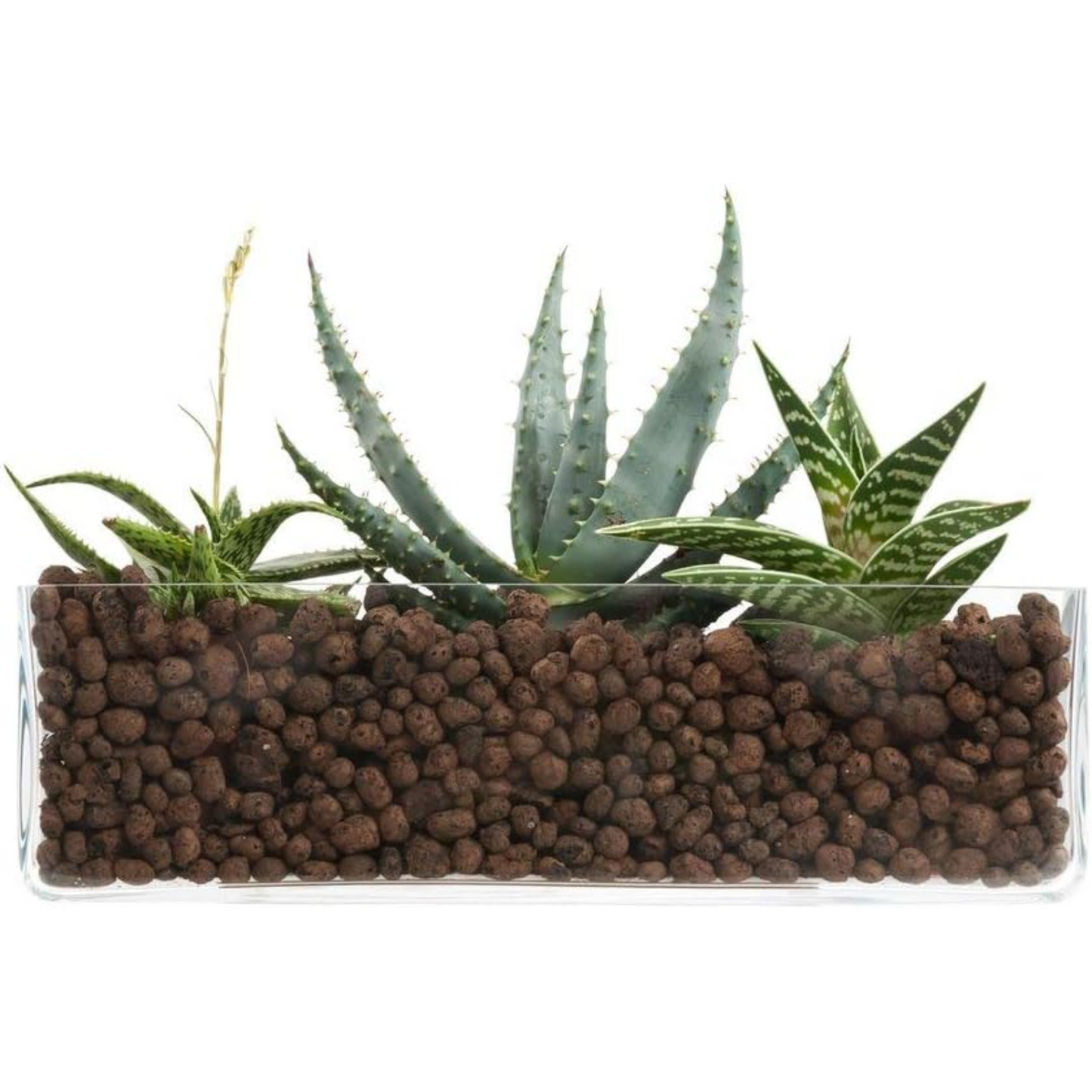 Argilla espansa per drenaggio terriccio, pacciamatura decorativa