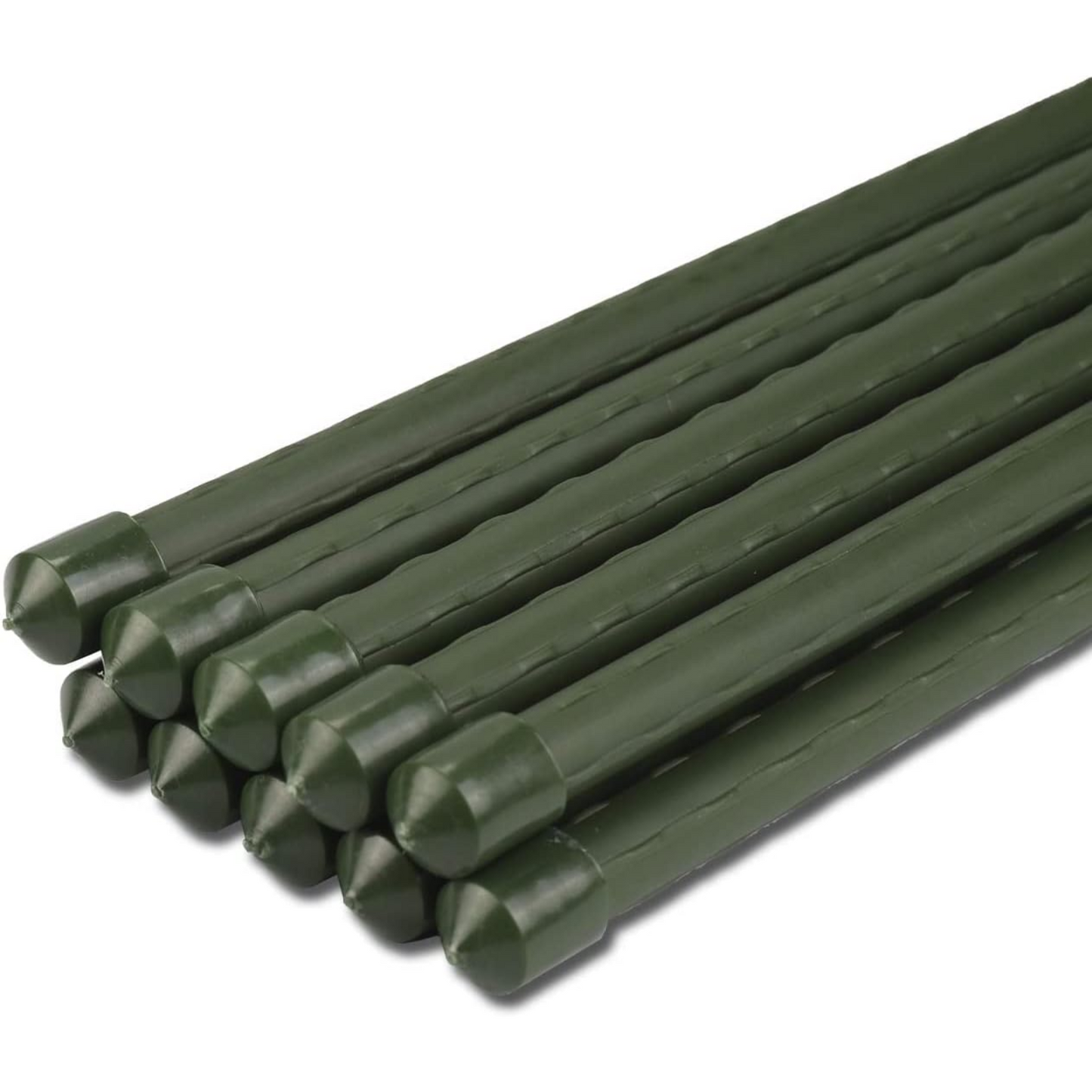 Cannette in metallo plasticato, kit da 25 pezzi