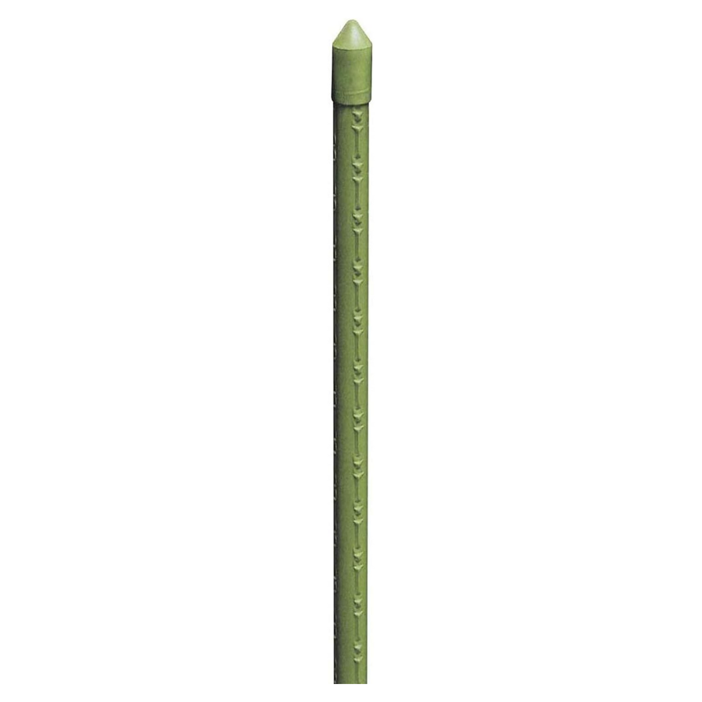 Cannette in metallo plasticato, kit da 25 pezzi