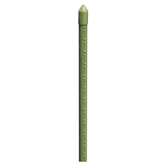 Cannette in metallo plasticato, kit da 25 pezzi