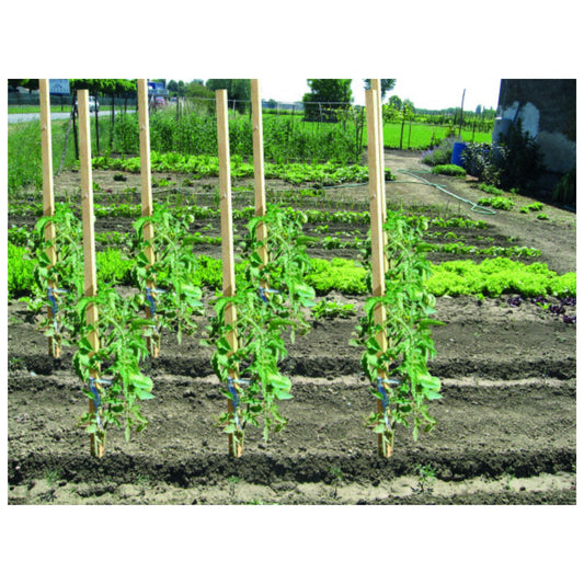 10pz palo sostegno in legno di pino 2,8x2,8cm h1,8mt