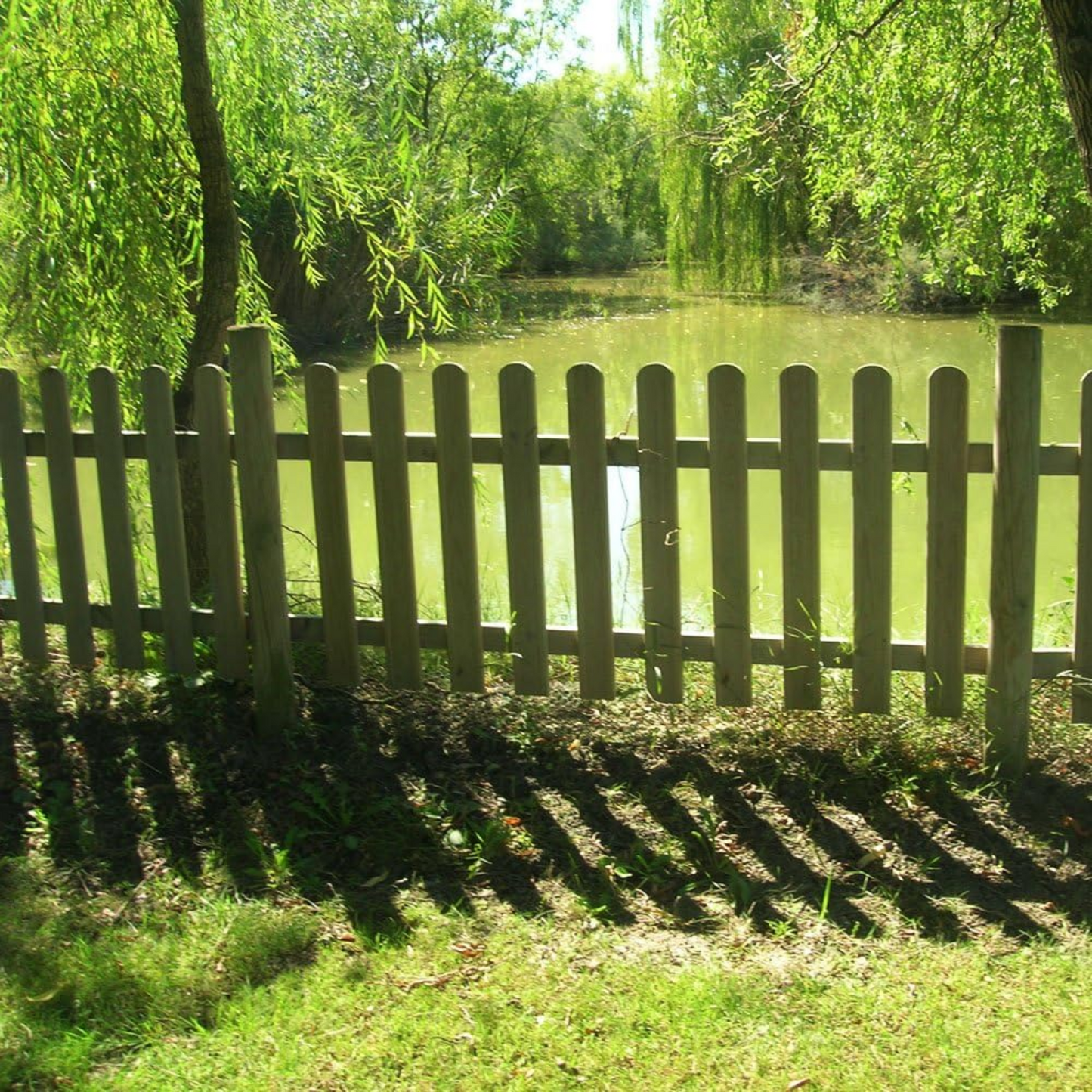Staccionata in legno di pino naturale, ideale per recinzione giardino