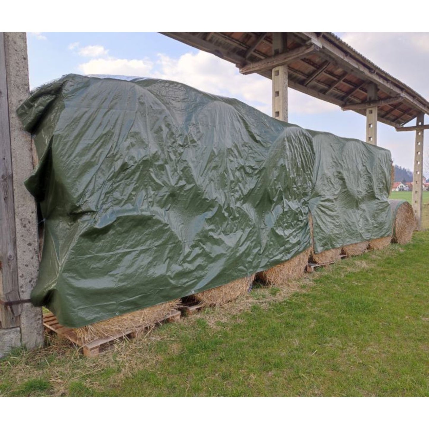 Telone occhiellato in polietilene laminato, impermeabile, antistrappo